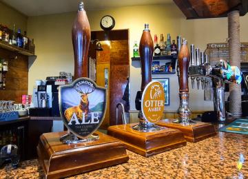 The Quay Inn Instow 19