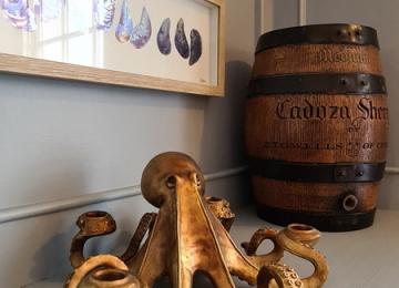 The Quay Inn Instow 22